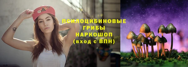 метамфетамин Белокуриха